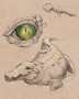 Crocodile | ilustrace